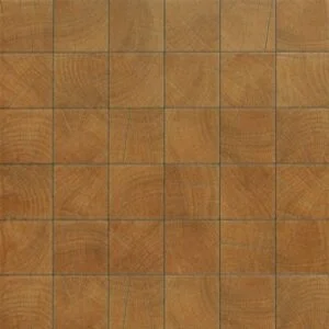 Ann Brown Ring PM FT 18X18 Floor Cleaning Tiles.