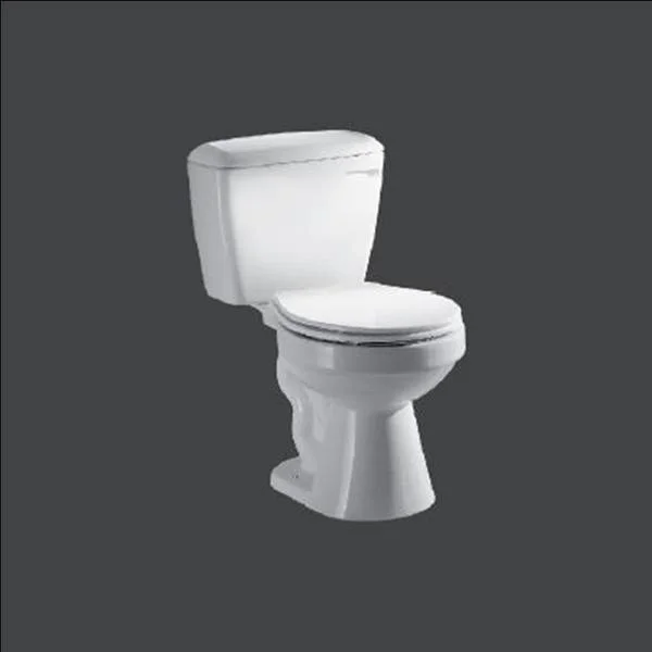 RAK-AMY AYWCAWHIA Close Coupled Water Closet