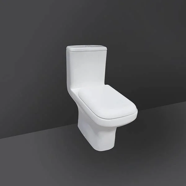 RAK-GEM GECOAWHIA Single Piece Water Closet