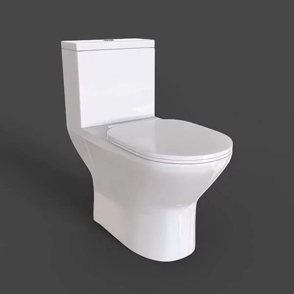 RAK RESORT RSTWCAWHIA Single Piece Water Closet